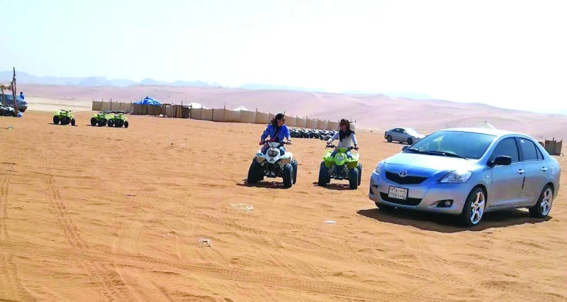 Scorpion bites put public on high alert in deserts