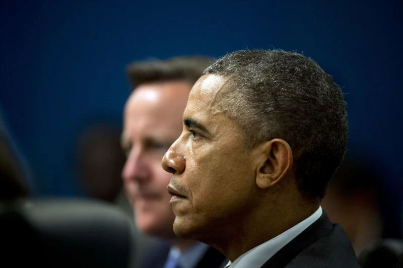 Obama tells G-20 US cannot 'carry world economy'