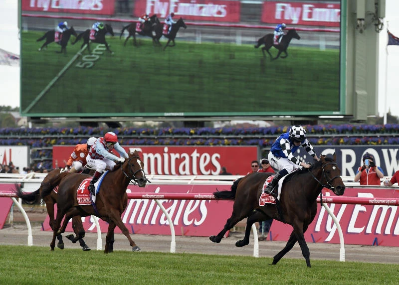 Protectionist claims Melbourne Cup, favorite Rakti dies