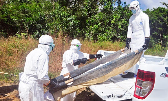 Ebola death toll rises to 4,950 — WHO