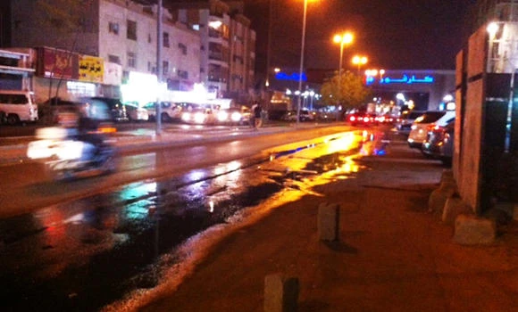 Jeddah deploys 570 workers to combat dengue mosquitoes
