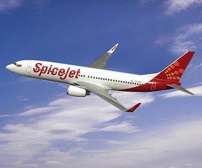 Indian airline Spicejet suspends flights after plane hits buffalo