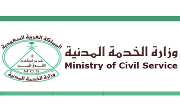 6,000 expats work in public sector