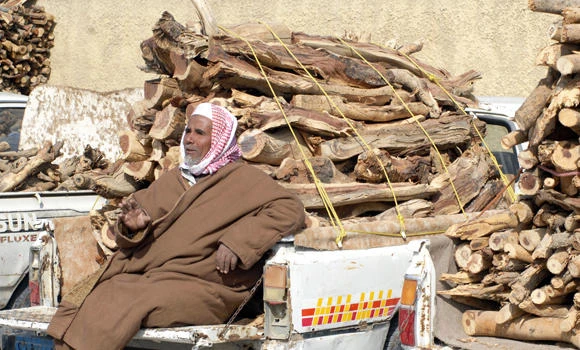 Sales of winter clothes, firewood double
