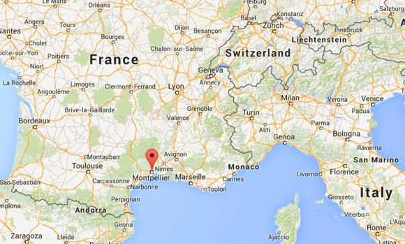 8-year-old suspected of torching cars in France