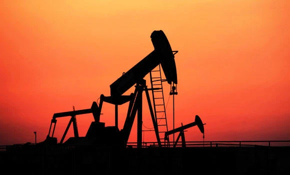 Govt urged to accelerate economic diversification