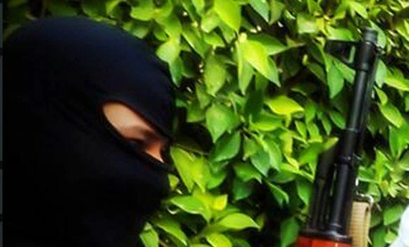 Dubious websites incite Saudis to join terrorists