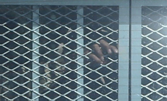 Parents get 15 years for torture killing of child
