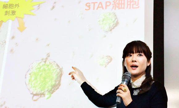 Japan lab dismisses groundbreaking stem cell study