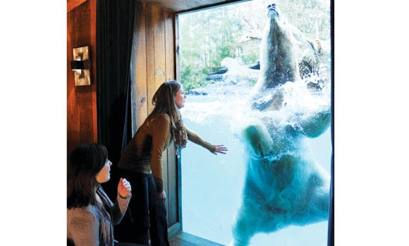 French zoos evolve with exotic themes