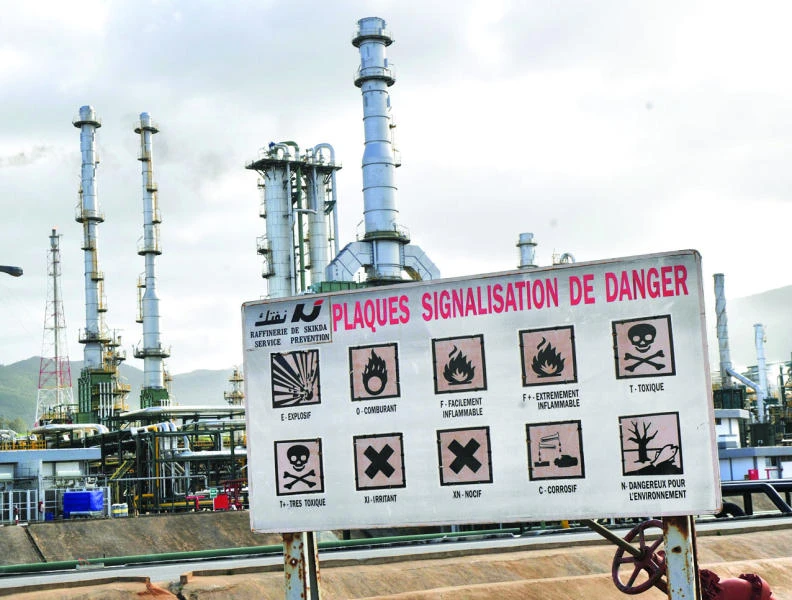 Falling crude revenues worry Algeria
