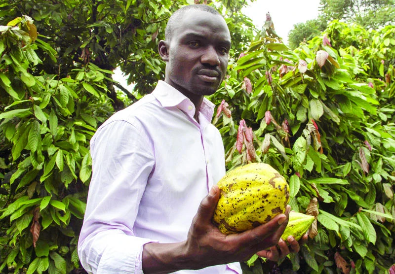 Uganda takes on the chocolate market