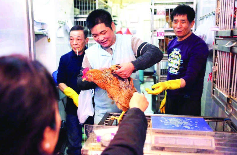 Hong Kong raises bird flu alert level as woman critical