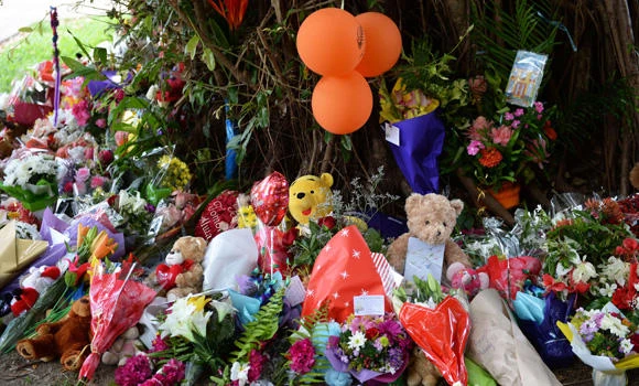 Mother arrested for murder of 8 children in Australia