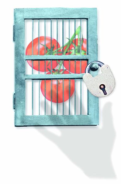 The seed emergency
