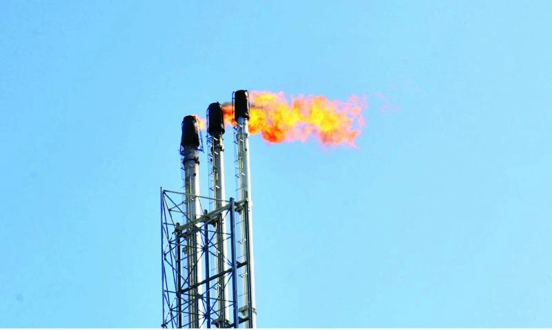 Oil hits new five-year low below $56 as supply glut persists