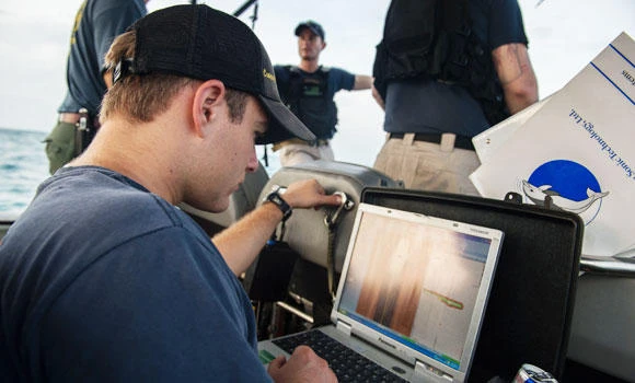 Missing plane’s tail section ‘located’