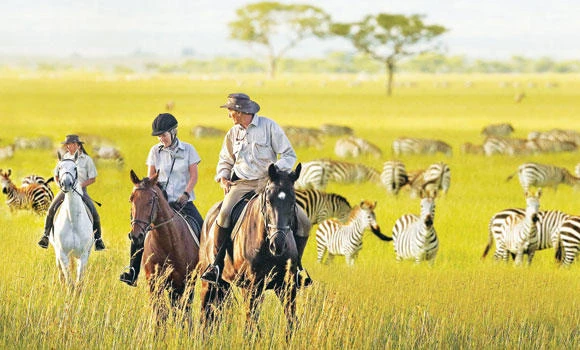 Travel bucket list: Calling all thrill-seekers