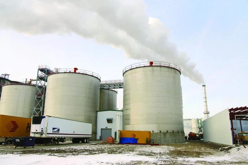 Oil rout will save Asian LNG importers billions this year