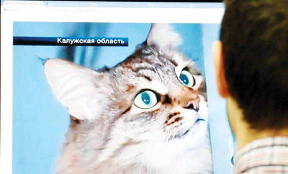 Homeless Russian cat ‘saves’ abandoned baby boy