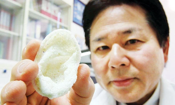Japan researchers target 3D-printed body parts