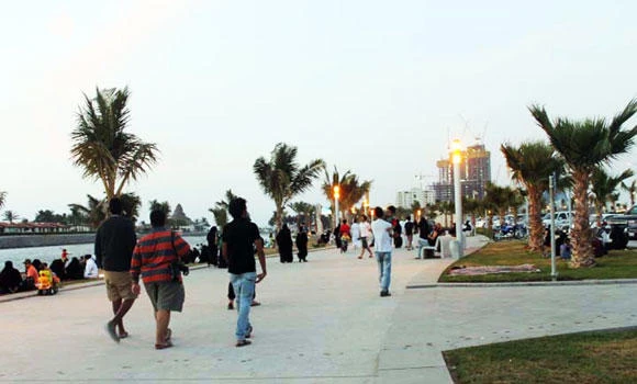 Rats, insects pose health hazard along Jeddah Corniche