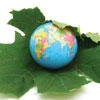 Globalizing sustainable development