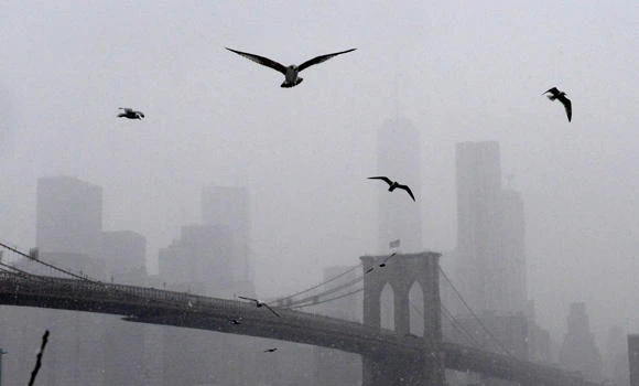 Blizzard in northeast US shuts schools, business, transport