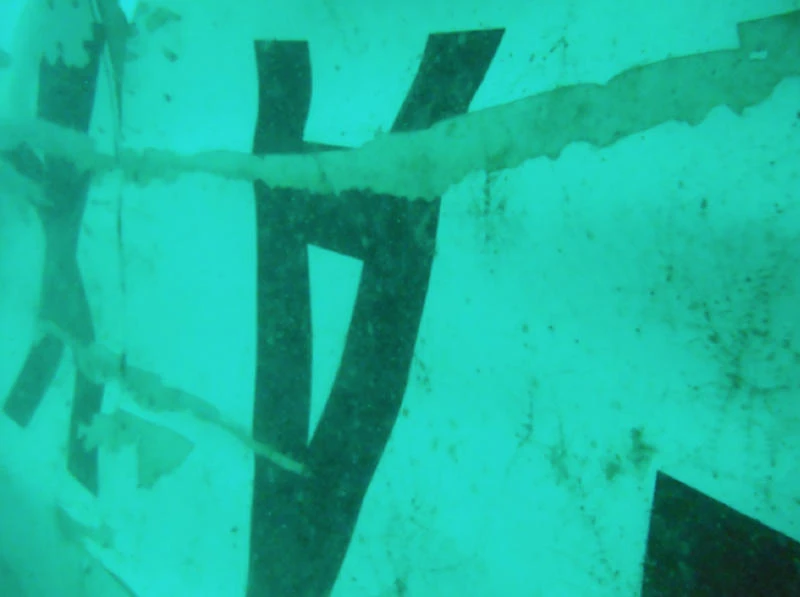 Crashed AirAsia plane tail found in Java Sea