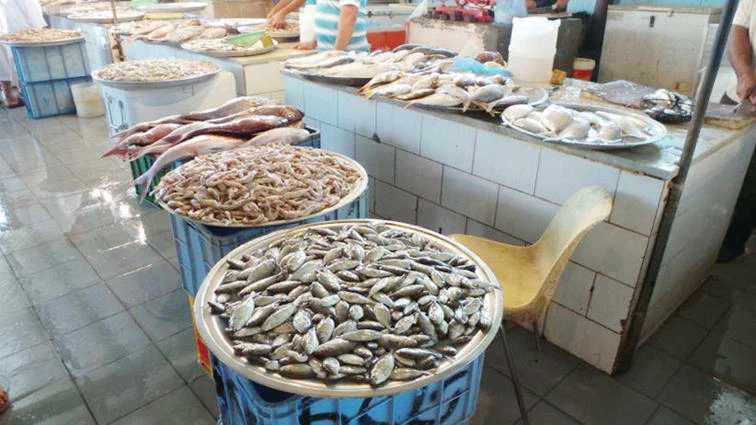 Fraud, manipulation at fish market irk Sharqawis