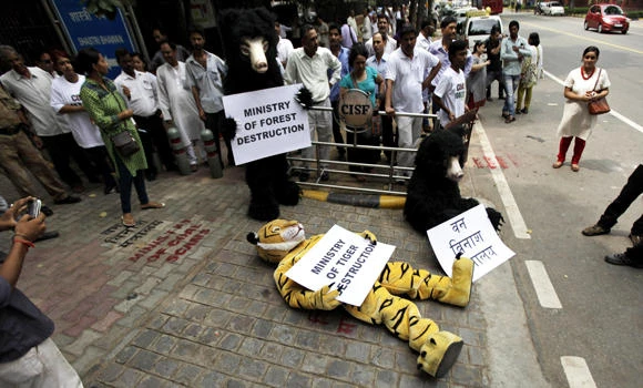 Court orders Indian govt to release Greenpeace funds