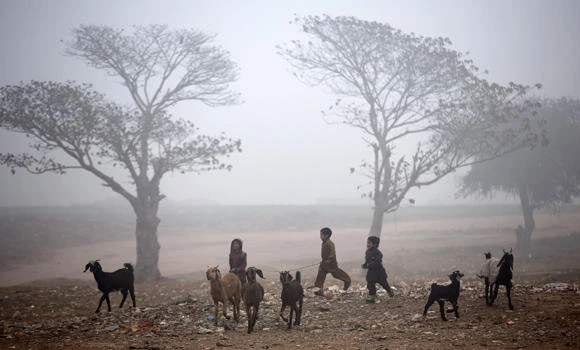 Pakistani man sacrifices 5 kids ‘to gain magic powers’