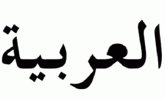 China seeks to build Arabic language centers
