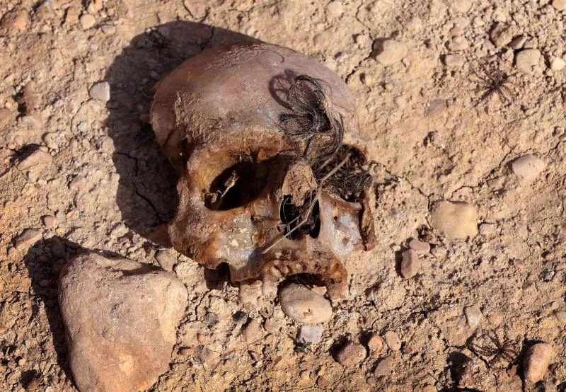 Remains of
23 Yazidis found in mass grave