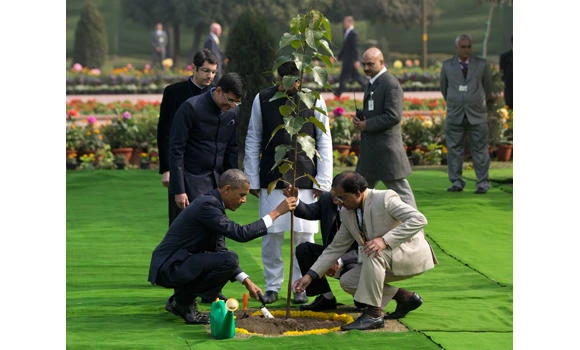 India insists: Obama’s tree is not dead