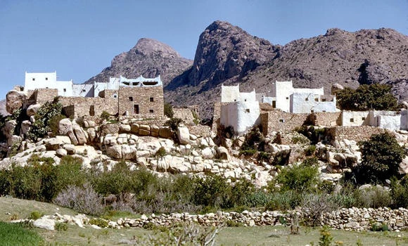 Nature and investment possibilities go hand in hand in Asir