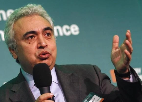 Key IEA role for Turkish economist
