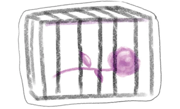Female prisoners regret their trips to the forbidden world