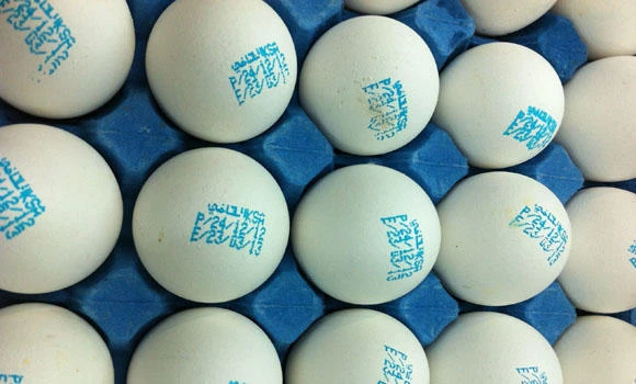 Govt imposes temporary ban
on Taiwan poultry meat and eggs