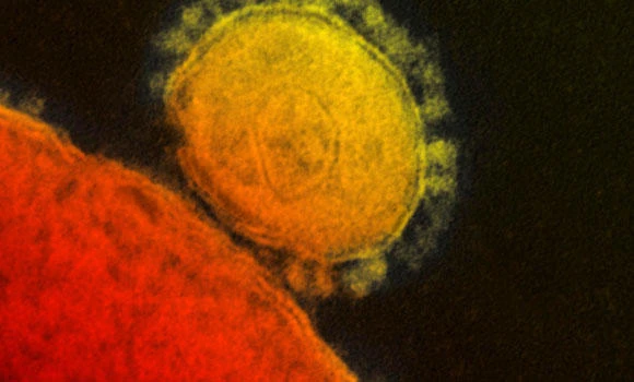 MERS claims 2 more lives