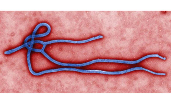 Ban on health workers’ travel to Ebola-hit nations remains