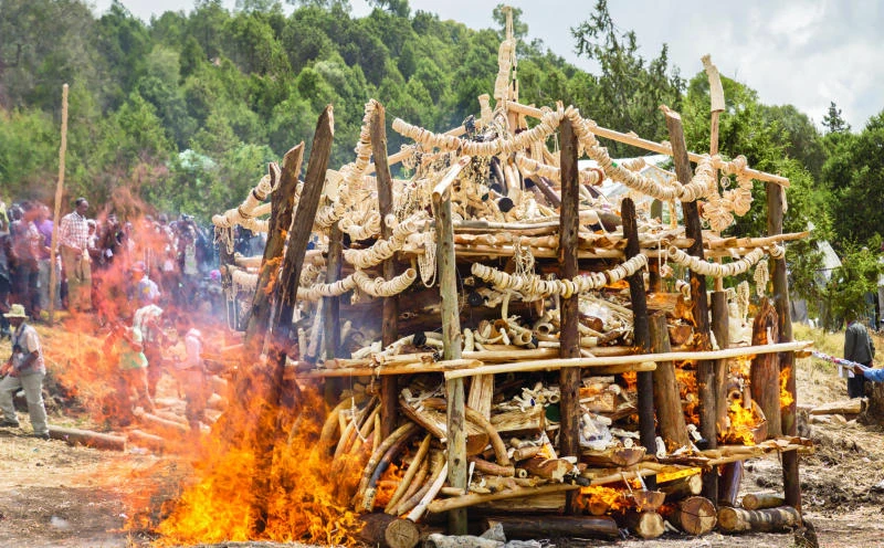 Ethiopia burns over six tons of ivory confiscated over decades