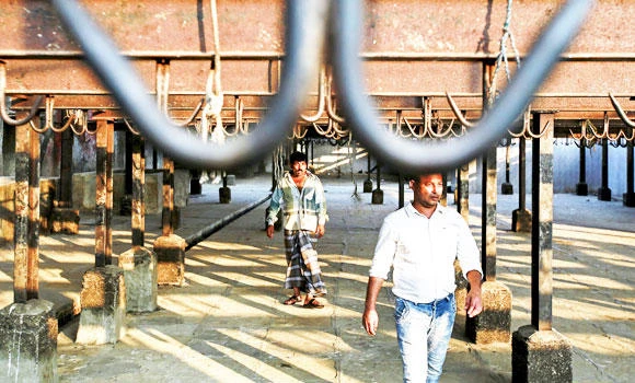 Beef ban hits Indian farmers, even lions