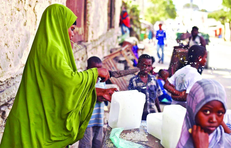 Somali entrepreneur to launch scheme to ease cash transfer fears