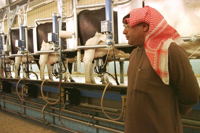 Dairy production in KSA needs SR15 billion investment by 2020