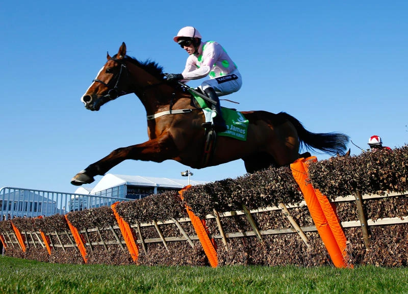 Walsh and Mullins enjoy Ruby Tuesday at Cheltenham