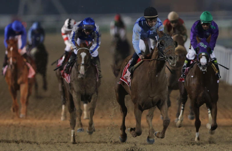 Prince Bishop wins Dubai World Cup