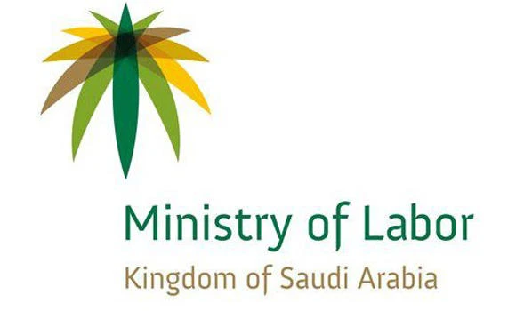 Eight-year limit on expats’ stay to be implemented in stages