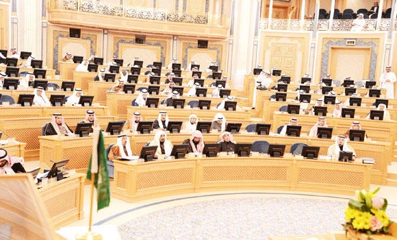 Shoura calls for increased funding for health services