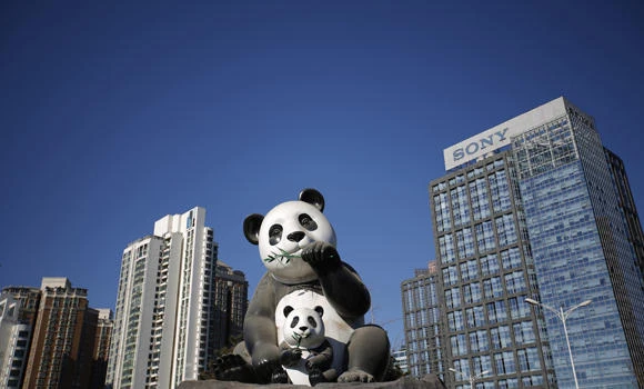 Man wins payout over panda bite